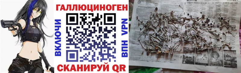 наркошоп  Белая Холуница  Галлюциногенные грибы прущие грибы 